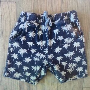 Navy Palm Tree Kids Shorts